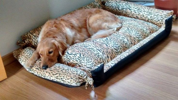 Cama para Cachorro